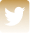 twitter logo